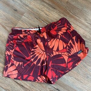 Patagonia Baggies Shorts